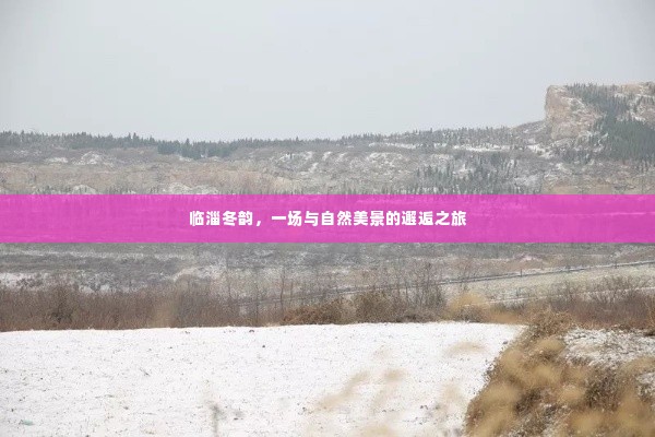 临淄冬韵,邂逅自然美景的冬日之旅