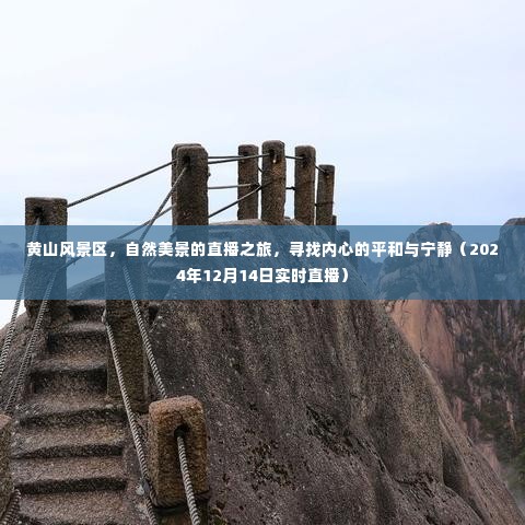 黄山风景区直播之旅,探寻自然美景与内心平和宁静的秘境(实时直播)