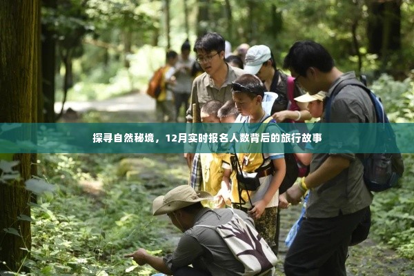 探寻自然秘境,揭秘实时报名人数背后的旅行故事