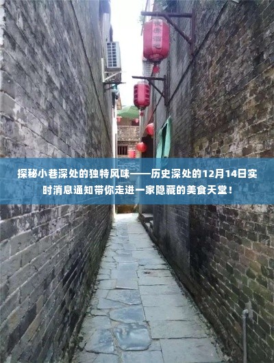 探秘小巷深处的隐藏美食天堂,历史深处的实时美食之旅——12月14日实时消息通知
