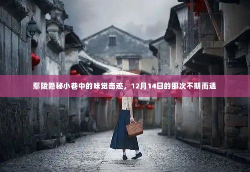 鄢陵隐秘小巷的美食奇缘,不期而遇的味觉奇迹