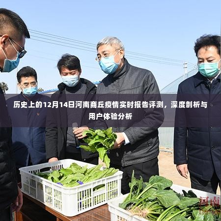 河南商丘疫情实时报告评测,深度剖析与用户体验体验分析(历史视角下的12月14日)