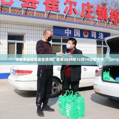沧县未来疫情动态预测,聚焦至2024年12月14日的视角分析