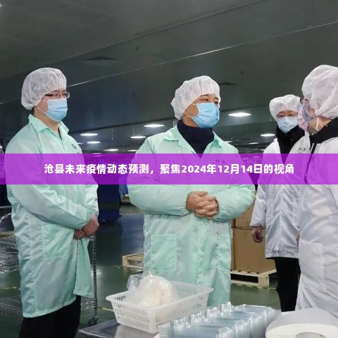 沧县未来疫情动态预测,聚焦至2024年12月14日的视角分析