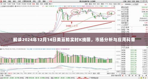 解读美豆粕实时K线图,市场分析与应用科普,聚焦2024年12月14日数据解读