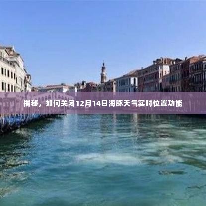 揭秘海豚天气实时位置功能关闭指南,如何操作于12月14日?