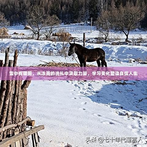 雪中有暖阳,洗礼冻雨,汲取力量,塑造自信人生