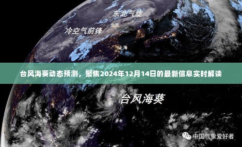 聚焦台风海葵动态预测,最新信息解读与未来趋势分析(2024年12月14日)