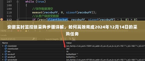 安徽实时监控锁采购步骤详解,高效完成采购任务指南(2024年12月14日)