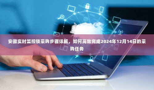 安徽实时监控锁采购步骤详解,高效完成采购任务指南(2024年12月14日)