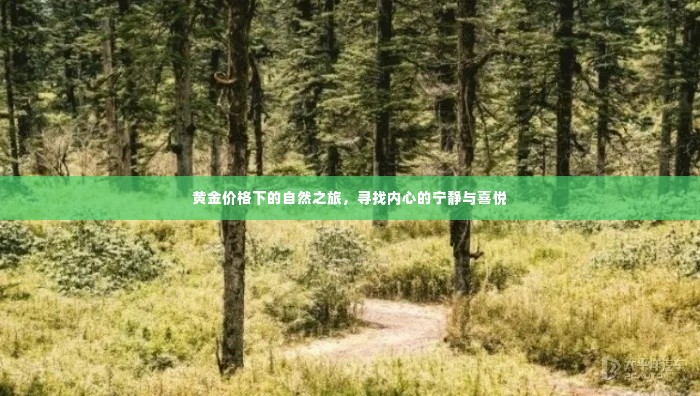 黄金价格下的自然探索,内心宁静与喜悦的追寻