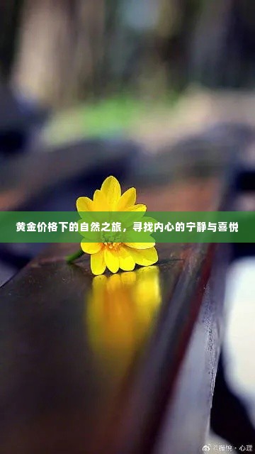 黄金价格下的自然探索,内心宁静与喜悦的追寻