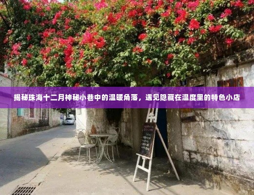 珠海十二月小巷深处的温暖角落,隐藏在温度里的特色小店探秘