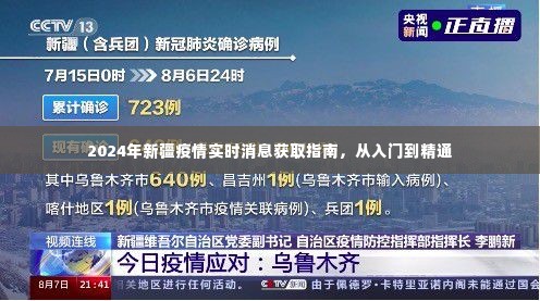 2024年新疆疫情实时消息获取指南,入门到精通详解