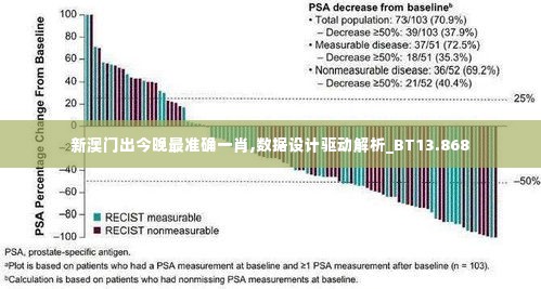 新澳门出今晚最准确一肖,数据设计驱动解析_BT13.868