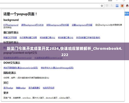 新澳门今晚开奖结果开奖2024,快速响应策略解析_Chromebook4.222