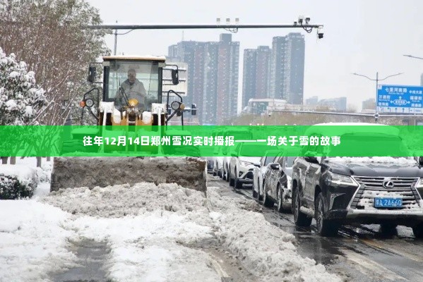 往年12月14日郑州雪况实时播报,雪的故事展开篇章