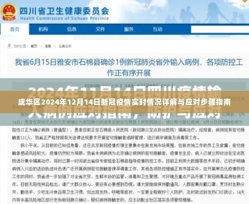 成华区新冠疫情实时情况及应对指南,2024年12月14日详解与行动指南