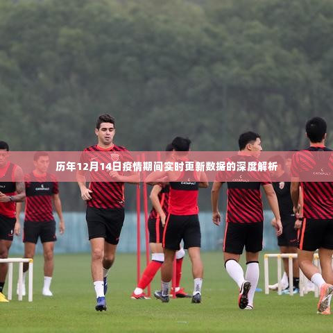 历年12月14日疫情数据深度解析与实时更新报告