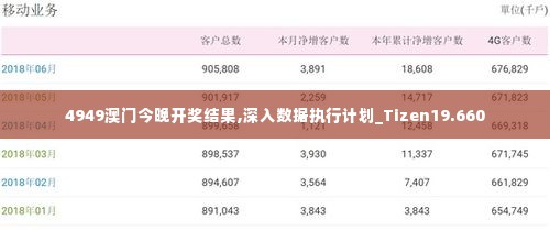 4949澳门今晚开奖结果,深入数据执行计划_Tizen19.660