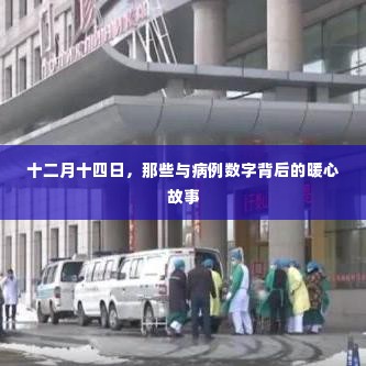 十二月十四日,病例数字背后的暖心故事