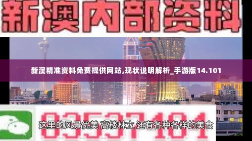 新澳精准资料免费提供网站,现状说明解析_手游版14.101