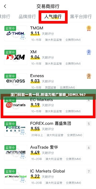 澳门码鞋一肖一码,创造力推广策略_3DM3.967