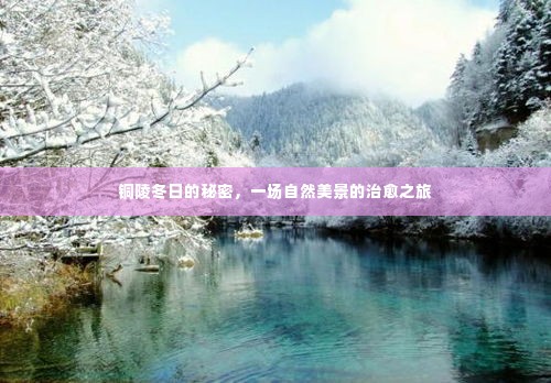铜陵冬日的秘密,自然美景的治愈之旅