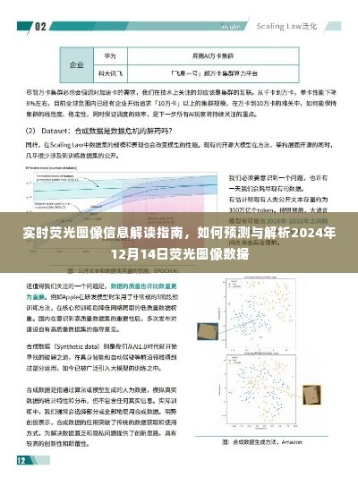 实时荧光图像信息解读指南,预测与解析未来荧光图像数据(针对2024年12月14日)