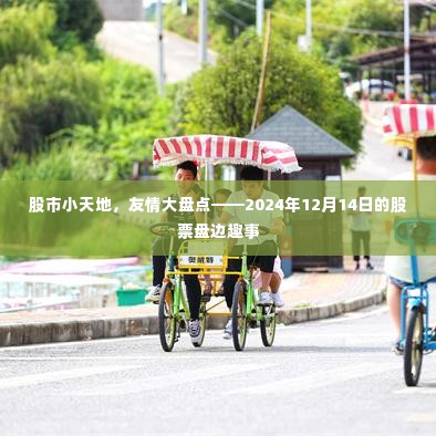 股市小天地里的友情大盘点,股票盘边趣事回顾 2024年12月14日