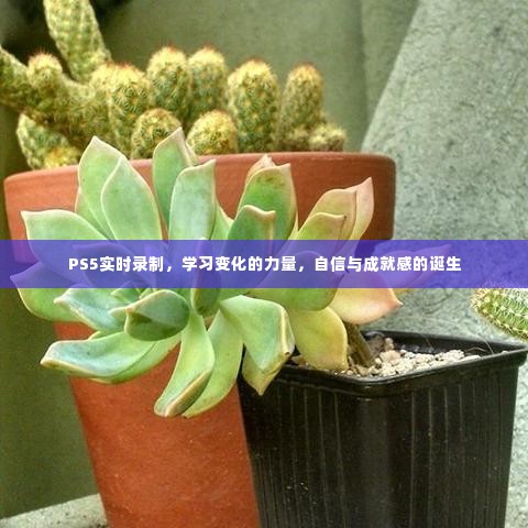 精益求精 第5页