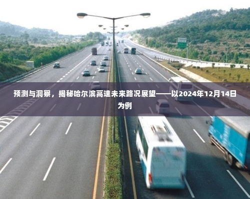 预测与洞察,揭秘哈尔滨高速未来路况展望(以2024年为例)