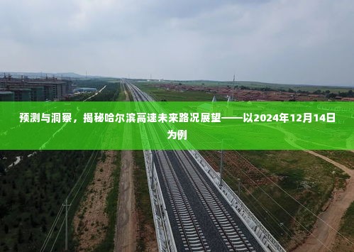 预测与洞察,揭秘哈尔滨高速未来路况展望(以2024年为例)