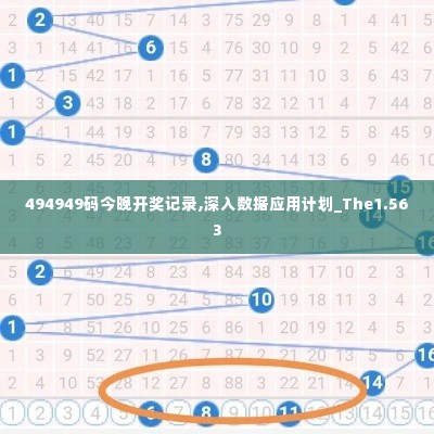 494949码今晚开奖记录,深入数据应用计划_The1.563