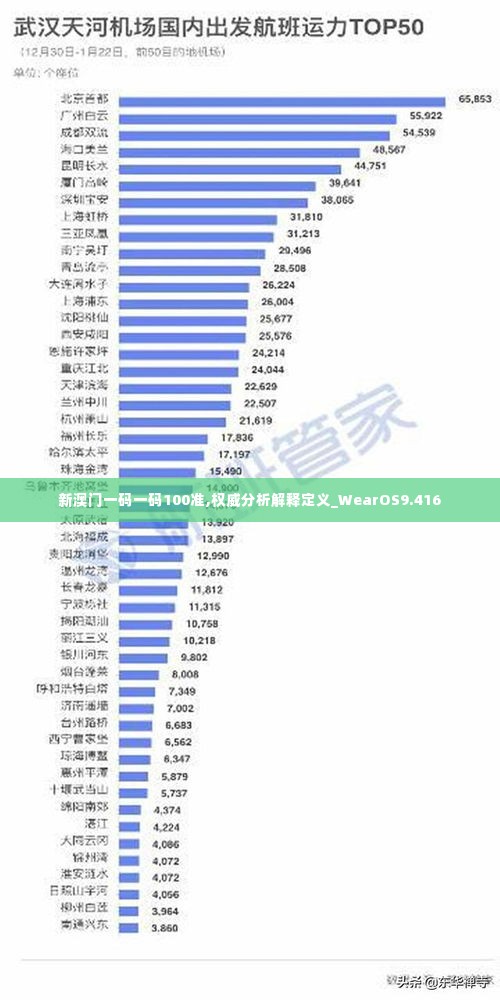 新澳门一码一码100准,权威分析解释定义_WearOS9.416