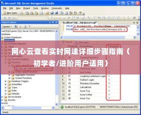 网心云实时网速查看指南,初学者与进阶用户适用的一步教程