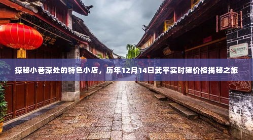 探秘小巷特色小店与武平实时猪价格揭秘之旅,历年12月14日的独特观察