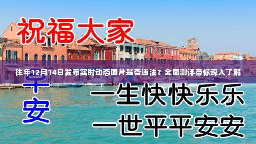 往年12月14日发布实时动态图片是否违法?全面解读助你了解真相