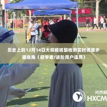 12月14日大规模核酸检测实时调整指南,适用于初学者与进阶用户