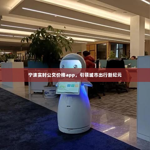 宁波实时公交价格app,引领城市出行新时代