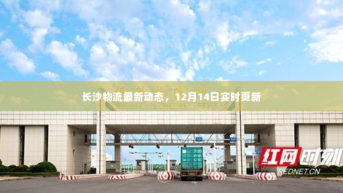 长沙物流最新动态,实时更新报告(12月14日)