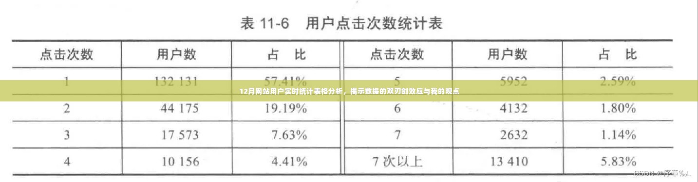 12月网站用户实时统计,数据双刃剑效应与我的观点解析