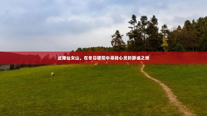 武隆仙女山，冬日暖阳下的心灵静谧胜地