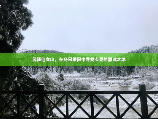 武隆仙女山,冬日暖阳下的心灵静谧胜地