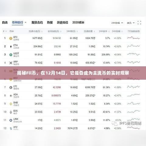 揭秘Fil币,是否将成为主流币的实时观察(12月14日)