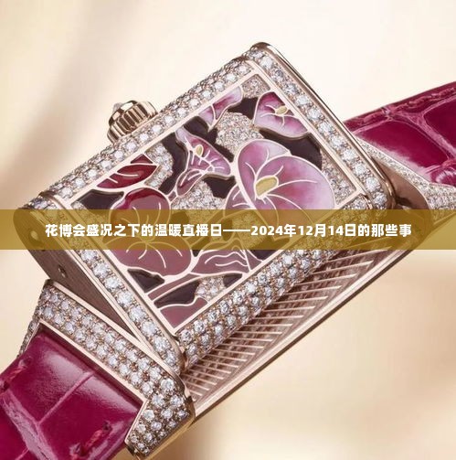 花博会盛况下的直播日,探寻温暖瞬间——2024年12月14日纪实