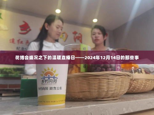 花博会盛况下的直播日,探寻温暖瞬间——2024年12月14日纪实
