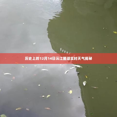 揭秘,历史上的沅江麓湖在12月14日的实时天气状况