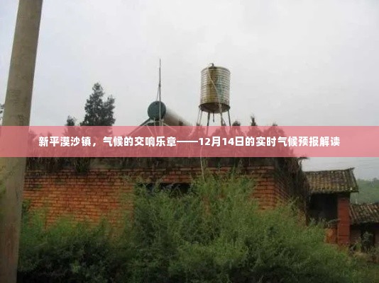 新平漠沙镇气候交响,12月14日实时气候预报解读