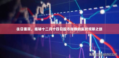 揭秘股市指数实时观察之旅,十二月十四日重现往日行情